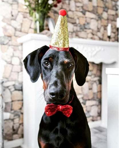 Stock Show Pet Cute Birthday Party Cone Hat and Bow tie Collar Set - Image 4