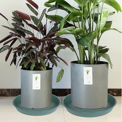 2 Pack of 16 17 inch Plant Saucer, 2.3" Depth, Plant Trays - Image 6