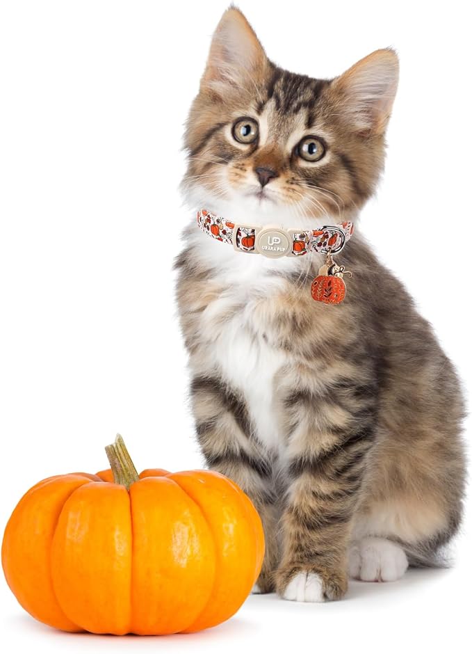 Fall Cat Collar-2Pack Autumn Kitten Collars-Halloween Breakaway Pumpkin Kitty - Image 5