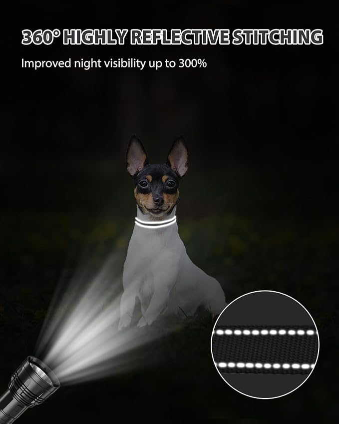 Joytale Small Dog Collar, Reflective and Adjustable Nylon Collar - Image 5