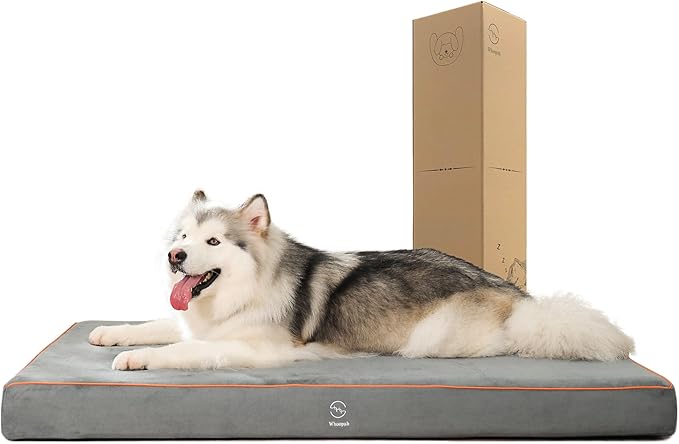 Hard-Wearing Orthopedic Dog Bed by Whoopub
