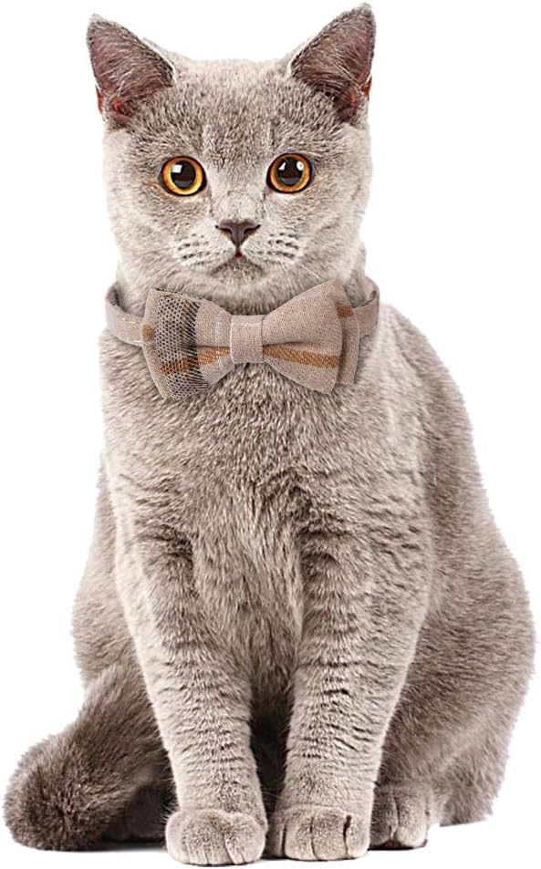Faleela Breakaway Cat Collar - Image 6