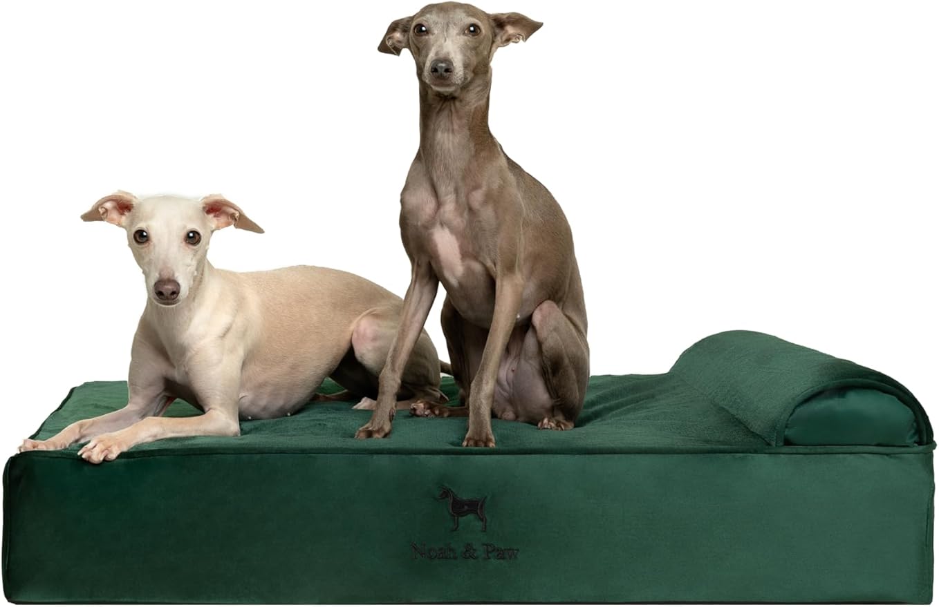 NOAH & PAW Large Dog Bed, Orthopedic Dog Beds, Eggshell Memory Foam Infused by NoahPaw