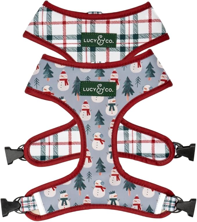 Lucy & Co. Cute Reversible Dog Harness Walking Halter by LucyCo