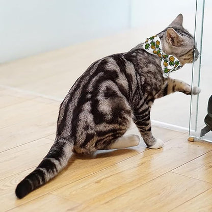 Fruit Cat Collar with Bow Tie and Bell 3 Pack Watermelon Strawberry and - Image 5