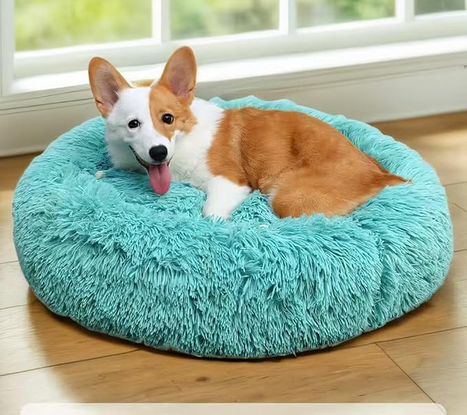 Cat Beds for Indoor Cats - Image 5