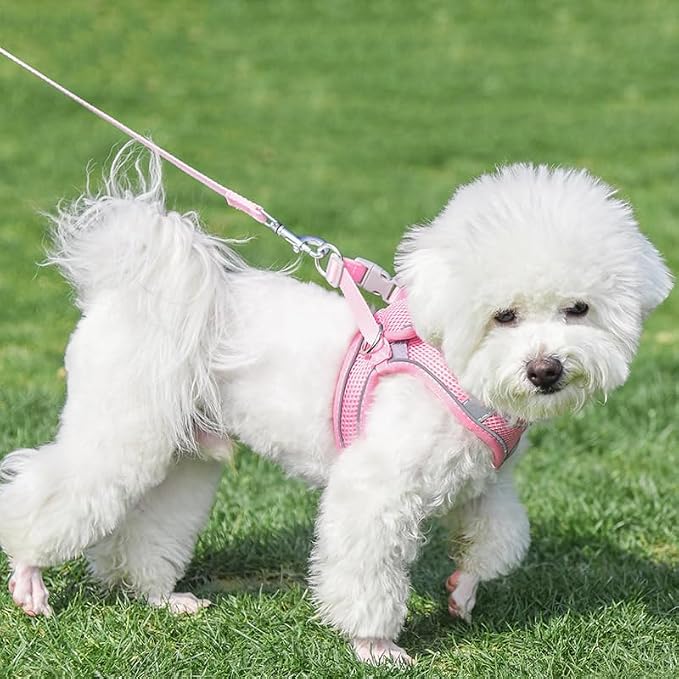 AIITLE Step in Dog Harness and Leash Set - Image 7