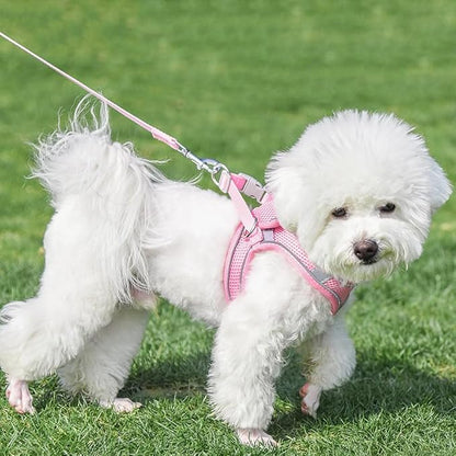 AIITLE No Pull Dog Harness and Leash Set, Step in Adjustable Dog Harness - Image 5