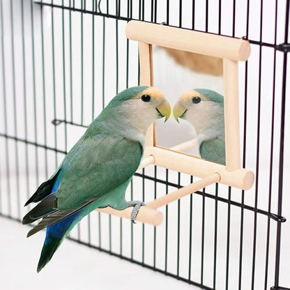 HANZE Bird Mirror With Swing, Hummingbird Perches - Image 2