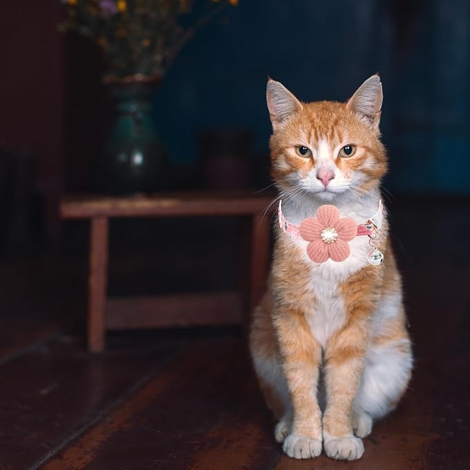 Cat Collar, HYQHYX Breakaway Kitten Collar - Image 8