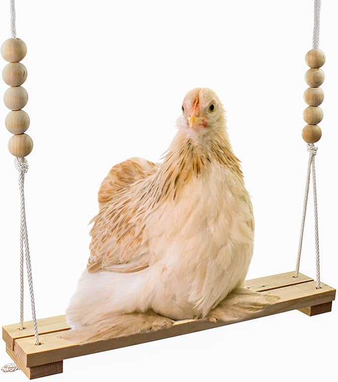 Chicken Swing Toy for Coop Handmade in USA Natural Safe Wooden Accessories by BackyardBarnyard