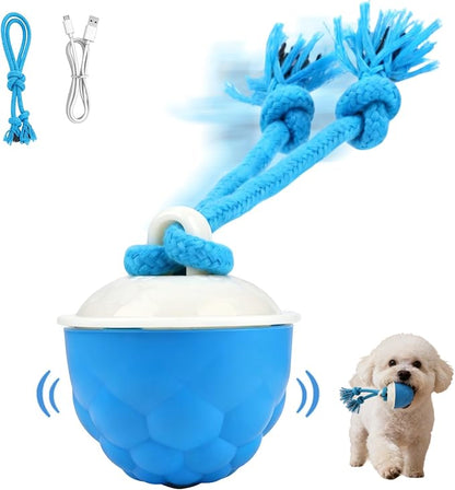 Interactive Dog Toys, 2026 Upgraded Motion Activated Automatic Rolling Ball Toys by Unknown