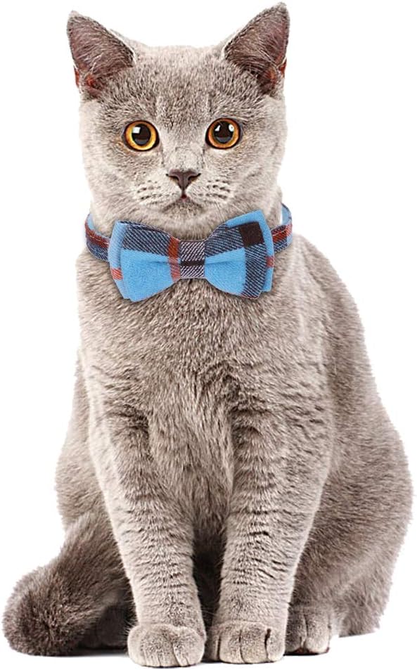 Faleela Breakaway Cat Collar - Image 5