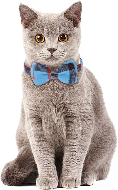 Faleela Breakaway Cat Collar - Image 5