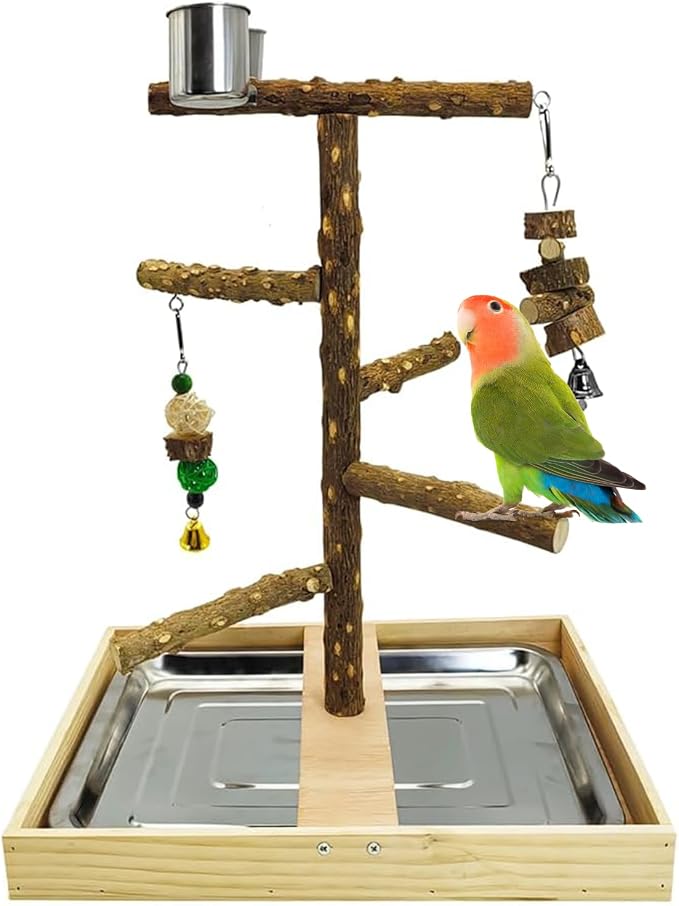 Tfwadmx Bird Perch Natural Wood Stand Toy Parrot Play Stand Platform Bird Cage by Tfwadmx
