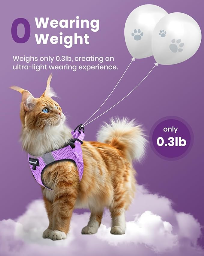 FAYOGOO Cat Harness and Leash Set | Upgrade Step-in Escape Proof Harness | - Image 4