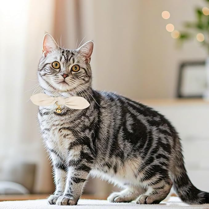 Bunny Ear Cat Collar with Bell and Bow Tie, Breakaway Cute Bowtie Kitten Collars - Image 4