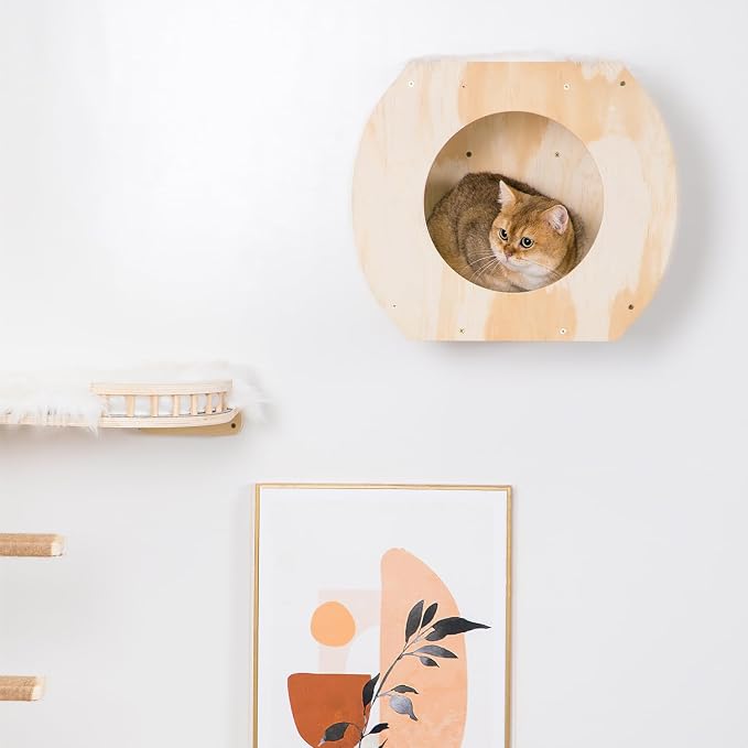 Cat Shelves - 3 Steps, Wall Climbing Shelf - Image 7