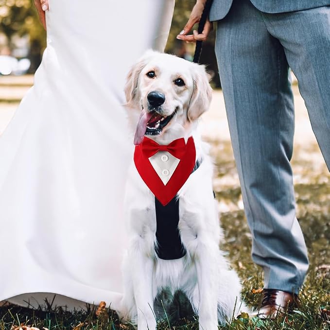 Dog Wedding Bandana, Formal Dog Tuxedo Adjustable Pet Collar - Image 4