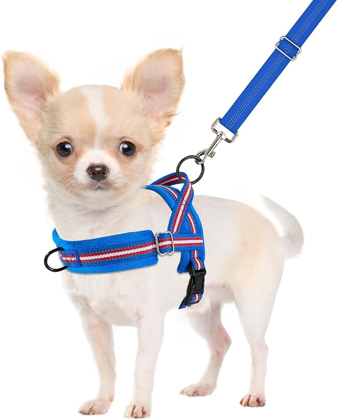 SlowTon No Pull Small Dog Harness and Leash Set, Puppy Soft Vest Harness Neck & by SlowTon