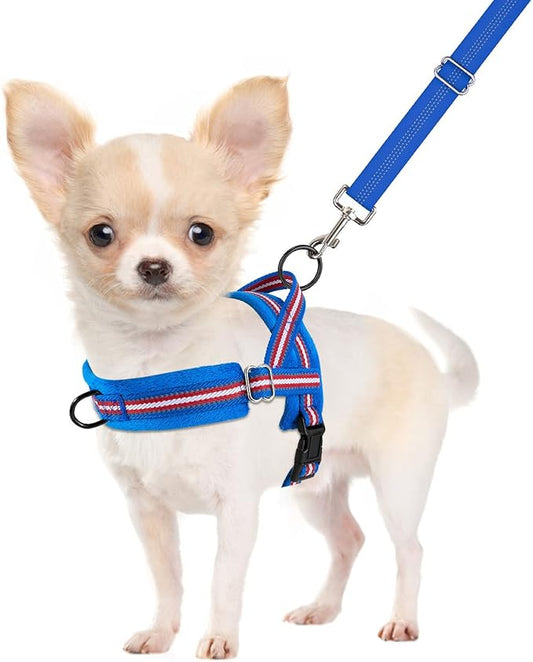 SlowTon No Pull Small Dog Harness and Leash Set, Puppy Soft Vest Harness Neck & by SlowTon