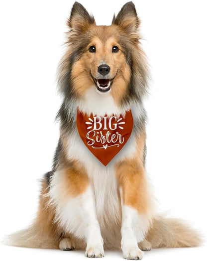 Big Sister Bandanas for Dog, Pet Pregnancy Announcement, Dark Orange Dog Bandana - Image 4