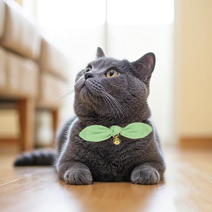 Bunny Ear Cat Collar with Bell and Bow Tie, Breakaway Cute Bowtie Kitten Collars - Image 7