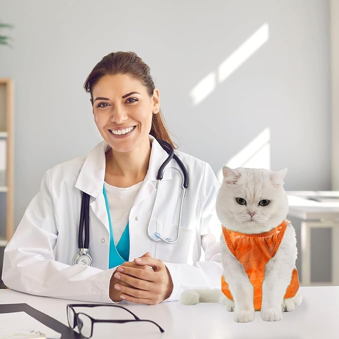 Avont Cat Recovery Suit - Image 3