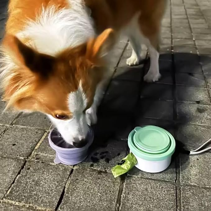 3 in 1 Collapsible Dog Bowl, Treat Container, Poop Bag Holder - Image 7