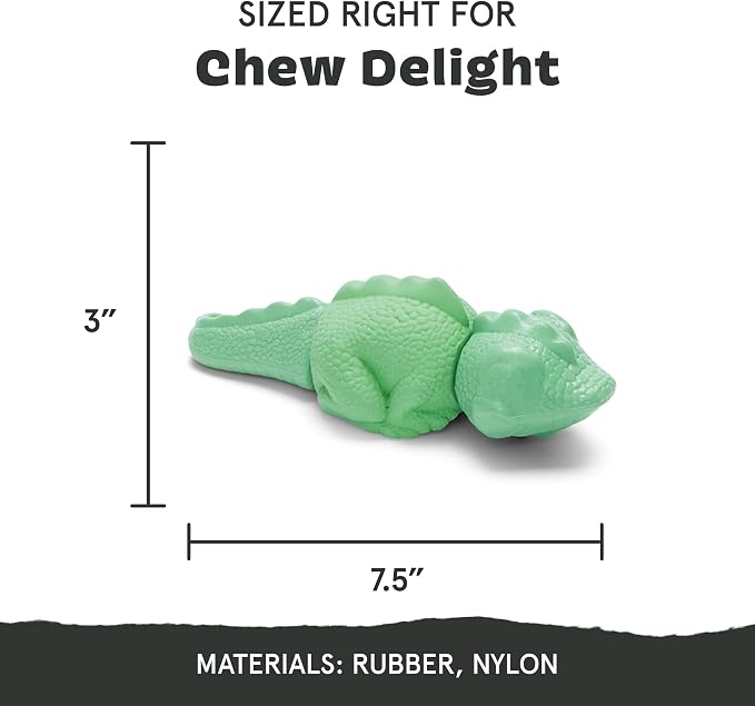 Barkbox Super Chewer Tough Dog Chew Toys - Image 3