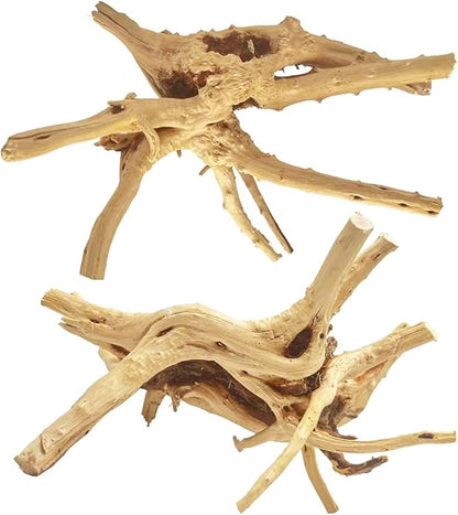 Jorewood Natural Large Spiderwood Driftwood by JOREWOOD