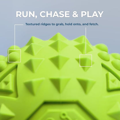 Best Pet Supplies Squeaky Dog Toys - Image 3