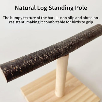 Bird Perch Stand, Bird Training Portable Tabletop Platform, Parrot Cage Toy Gym - Image 5