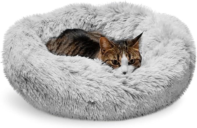 Whiskers & Friends Cat Bed, Cat Beds by WhiskersFriends