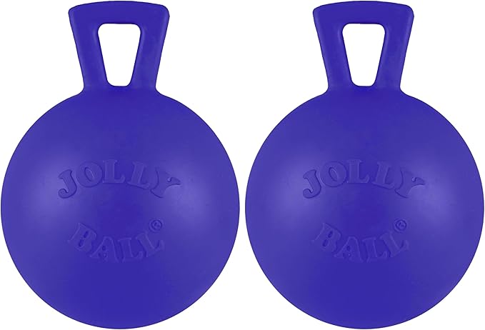 Jolly Pets Tug-n-Toss Heavy Duty Dog Toy Ball by JollyPets