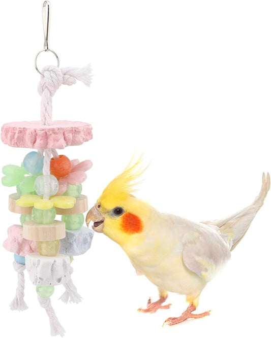 Hypeety Bird Calcium Teeth Grinding Stone Chew Treats Toy Beak Buffer Stone by Hypeety