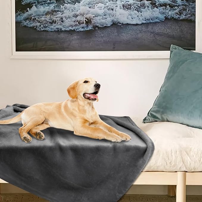 Onarway Dog Blanket Washable for Bed: 2 Packs Dog Blankets 59”x47” - Image 7