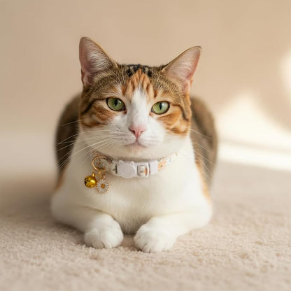 2 Pack Cotton Breakaway Cat Collars - Image 5