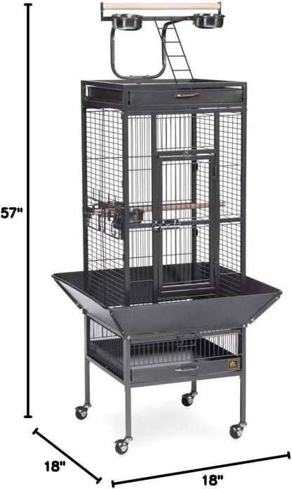 Prevue Pet Products Wrought Iron Select Bird Cage Black Hammertone 3151BLK - Image 4