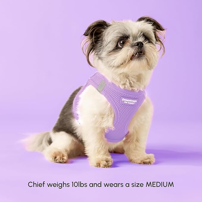 Downtown Pet Supply Step in Dog Harness - Image 2