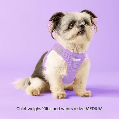 Downtown Pet Supply Step in Dog Harness - Image 2