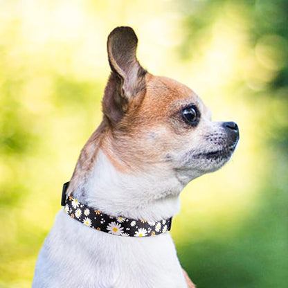 QQPETS Adjustable Soft Dog Collar: Print Flower Pink Multicolor Cute Patterns - Image 5