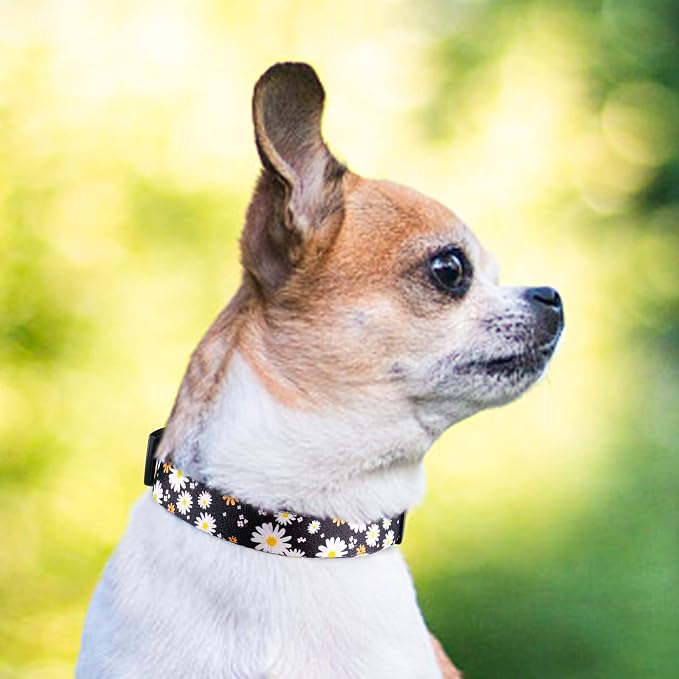 QQPETS Adjustable Soft Dog Collar: Print Flower Pink Multicolor Cute Patterns - Image 6