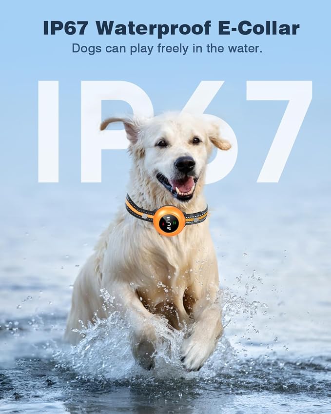 2-in-1 Dog Shock Collar & Dog Bark Collar - Image 5