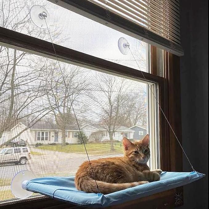 Cat Hammock with Suction Cups - Image 5