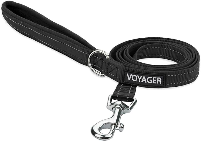 Best Pet Supplies Voyager Reflective Dog Leash or Collar by BestPetSuppliesLLC