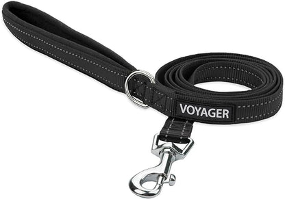 Best Pet Supplies Voyager Reflective Dog Leash or Collar by BestPetSuppliesLLC