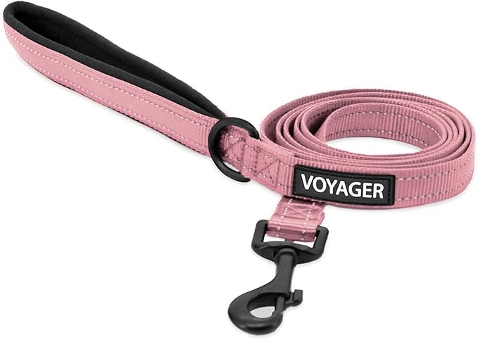 Best Pet Supplies Voyager Reflective Dog Leash or Collar by BestPetSuppliesLLC