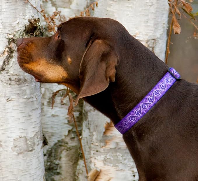 LupinePet Originals 1" Jelly Roll 12-20" Adjustable Collar - Image 2