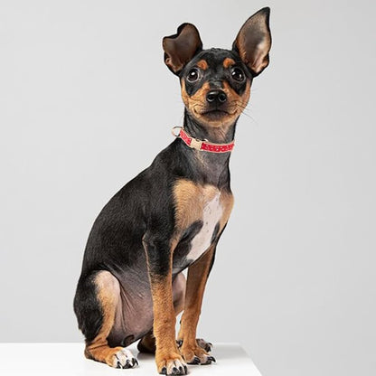 Woven Dog Collar with Metal Buckle Adjustable Jacquard Retro Dog Collars - Image 6